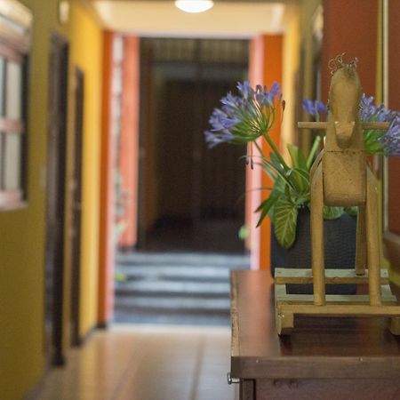 Bed and Breakfast Give House Guatemala City Екстер'єр фото