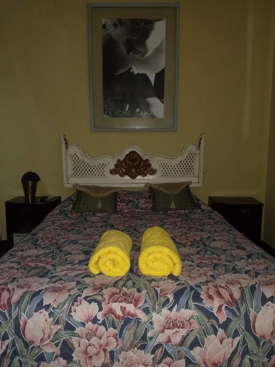 Bed and Breakfast Give House Guatemala City Екстер'єр фото