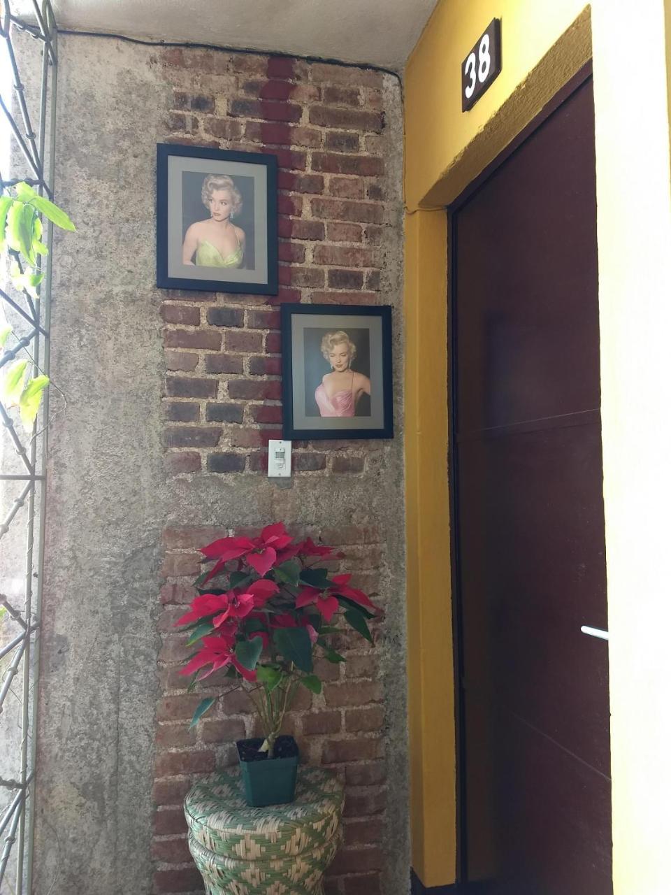 Bed and Breakfast Give House Guatemala City Екстер'єр фото