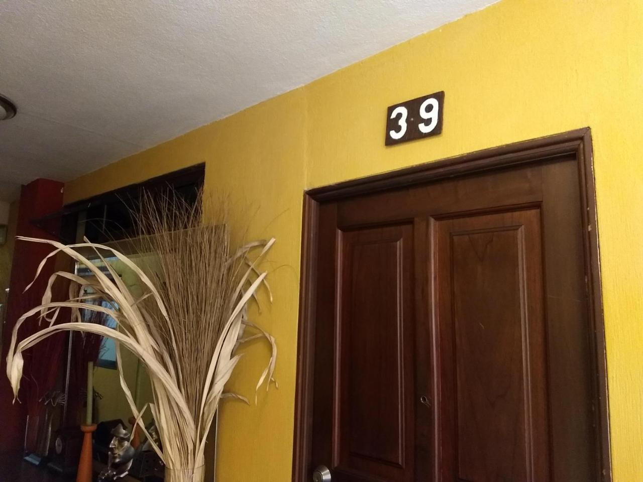 Bed and Breakfast Give House Guatemala City Екстер'єр фото